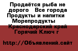 Продаётся рыба не дорого - Все города Продукты и напитки » Морепродукты   . Краснодарский край,Горячий Ключ г.